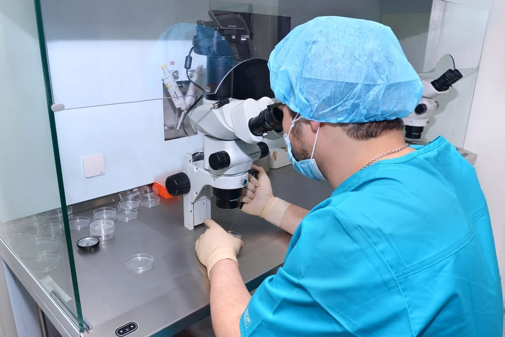 Dr. Castillo in the lab, in Mexico City, in the fertilization process